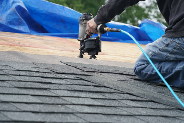 Best Roof Gutter Cleaning  in Evansburg, PA